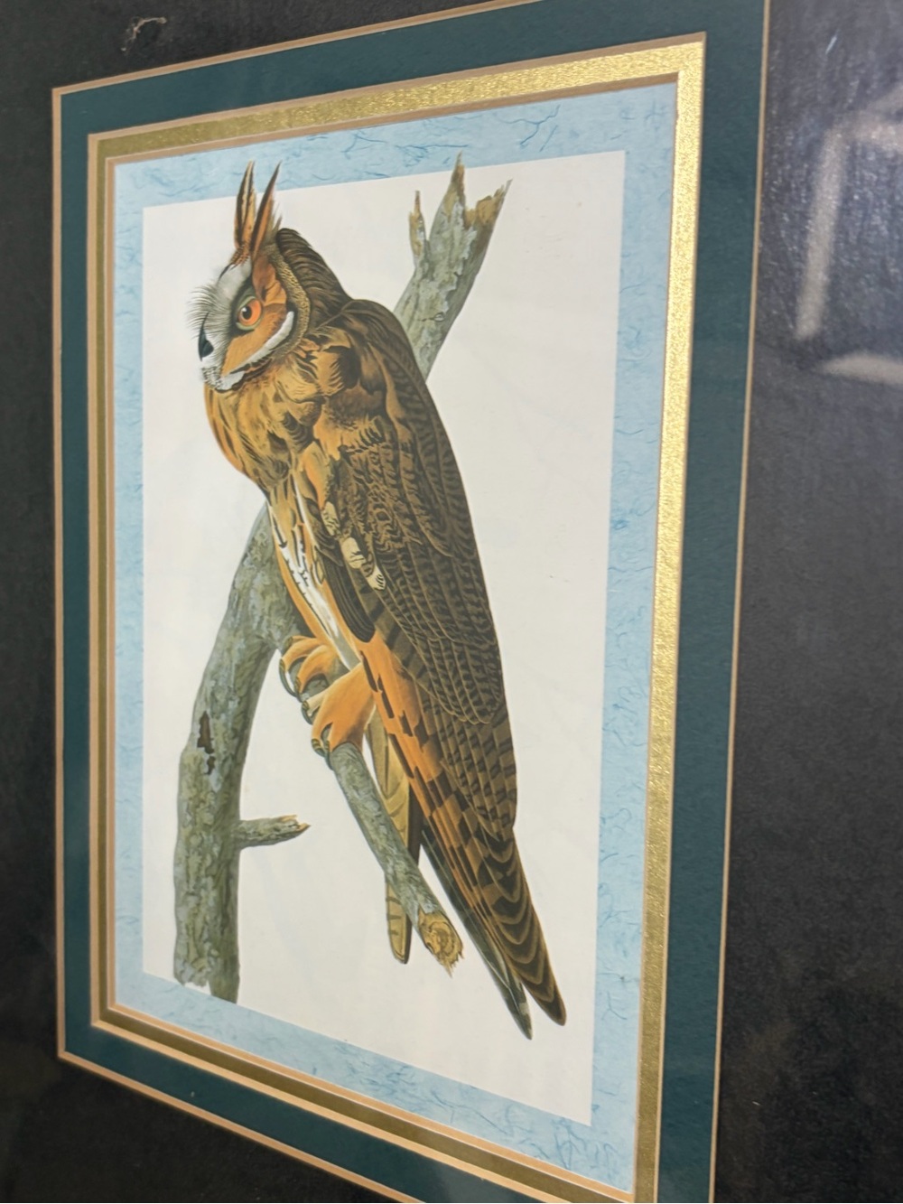 18x18 Audubon Framed Vintage Owl Bird Print in Gold Frame - Picture 2 of 3
